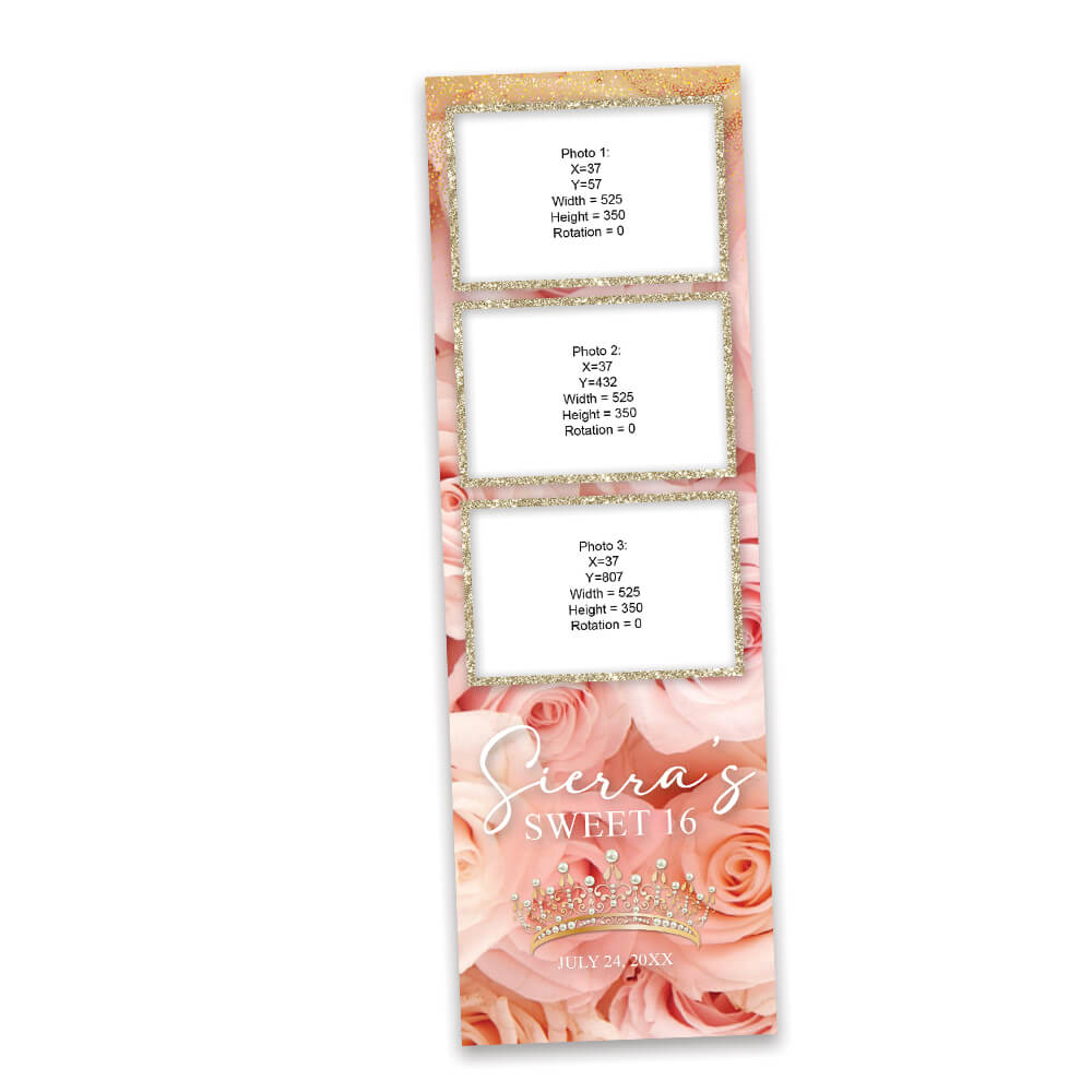 Charming Pink Roses Sweet 16th Photo Booth Frame |  2x6 Photo Strip  |  LHC17B